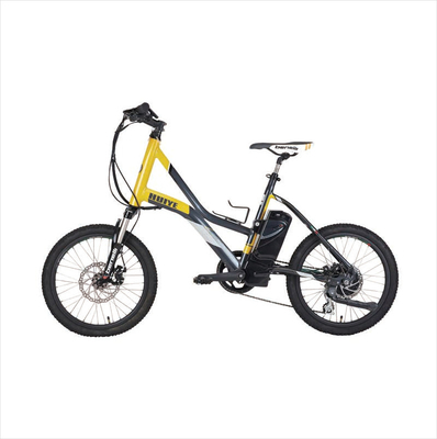 OEM Fascial Gun Battery 24V 2600Mah Electric Bicycle Removable Battery