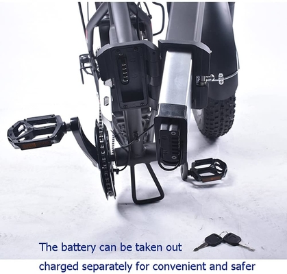 Haiba Electric Rechargeable Bicycle Lithium Battery 250W 500w 750w